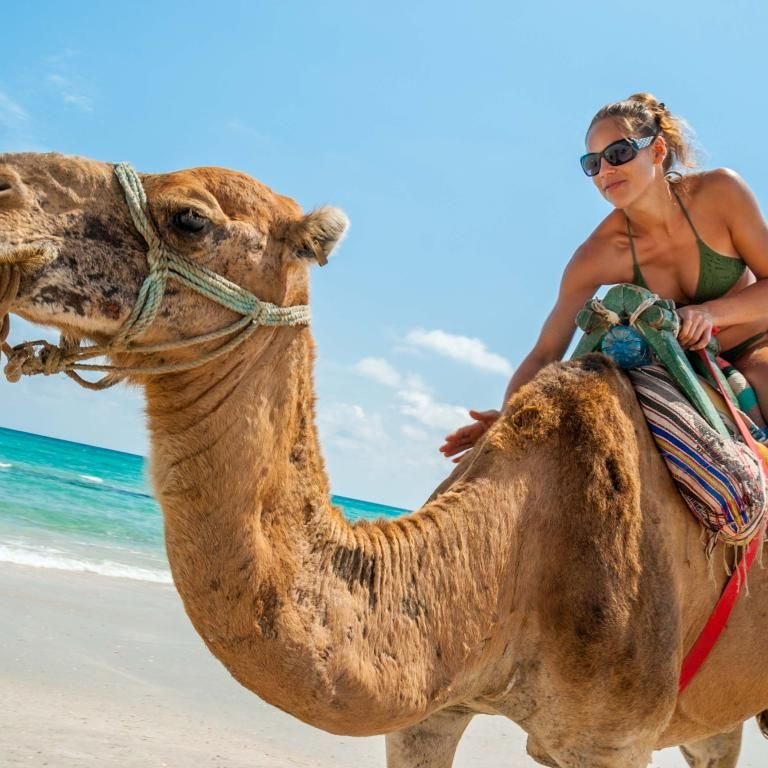 A camel ride on the beach